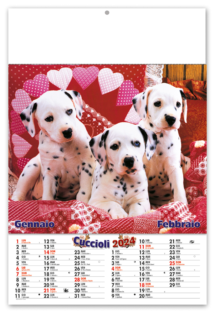 Melprom s.r.l.: acquista CALENDARIO PERSONALIZZATO 13FG. CARTA 200GR. F.TO  16,5X14